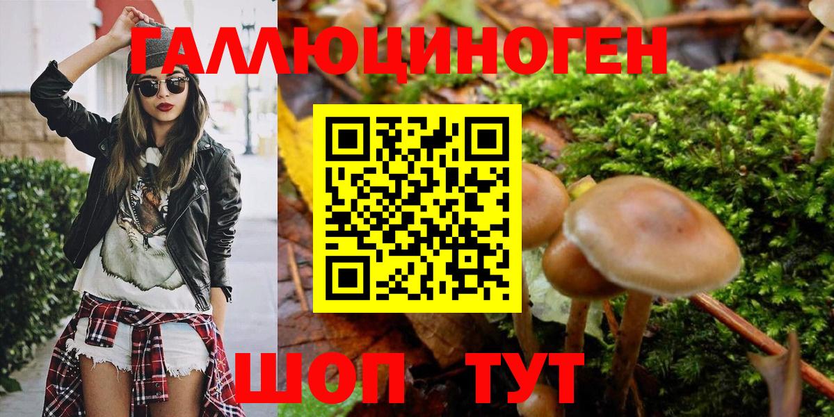 Соликамск  Галлюциногенные грибы GOLDEN TEACHER  Вход с VPN  Псилоцибиновые грибы Psilocybe 